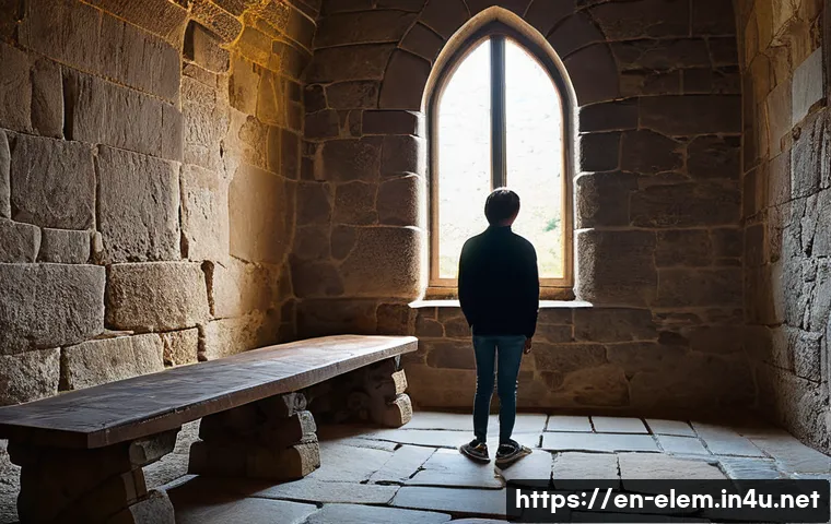 박물관 및 유적지 탐방 - **Image Prompt 1: Sensory Immersion in an Ancient Castle**
    A wide-angle shot of a young person, ...